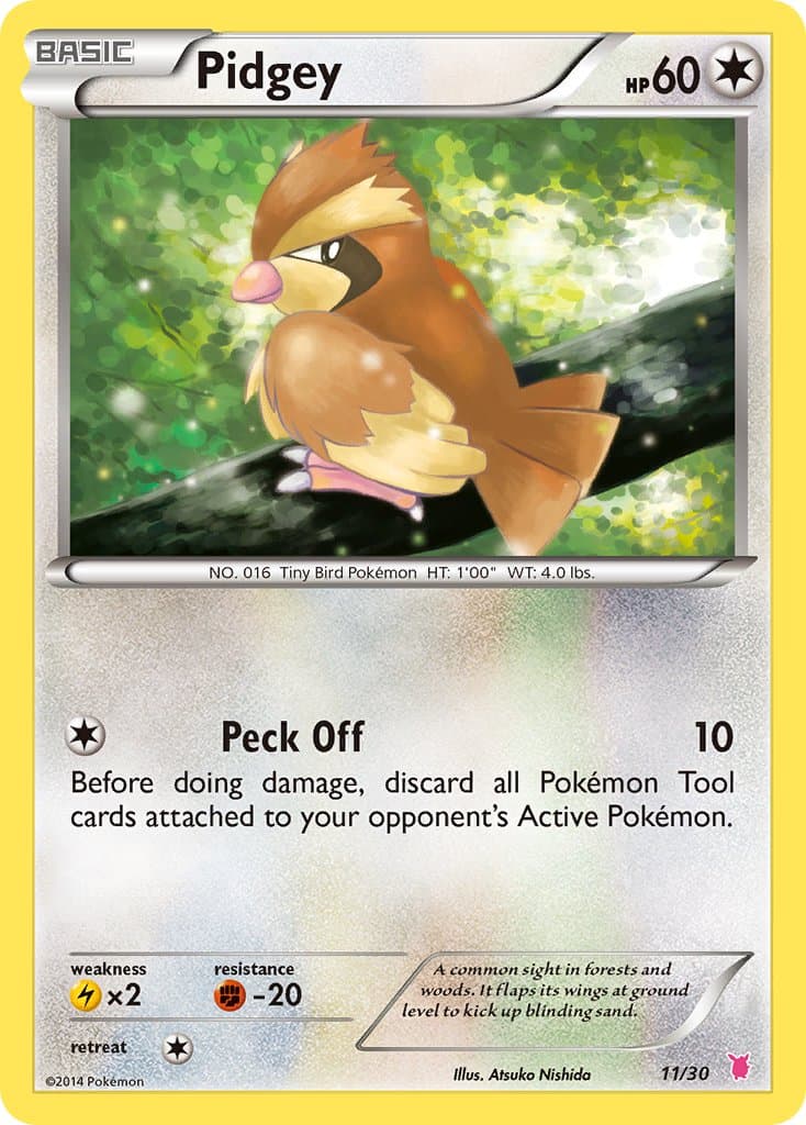 Pidgey — Xy Trainer Kit Wigglytuff Pokémon card